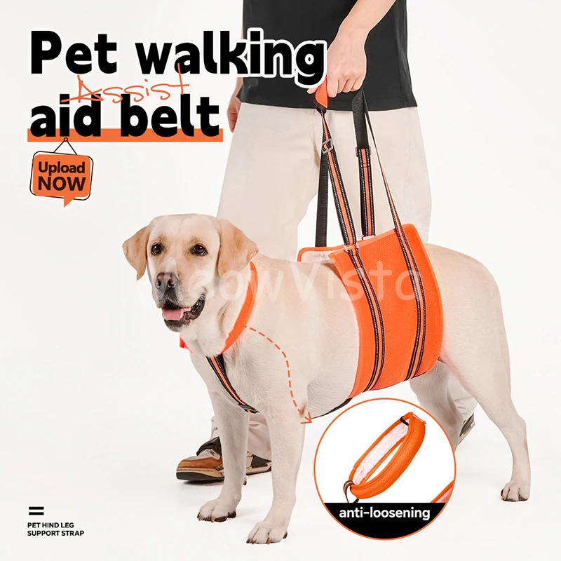 Anti‑Loosening Dog Hind Leg Lift Harness Breathable Padded Pet Walking Assist Sling for Old Injured Disabled Medium Large Dogs