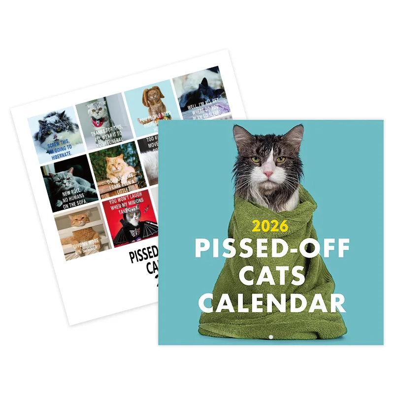 

2026 Angry Cat Theme Calendar, New Year Wall Calendar, Fun Cat Theme Gifts for Cat Lovers, New Year Christmas Gifts