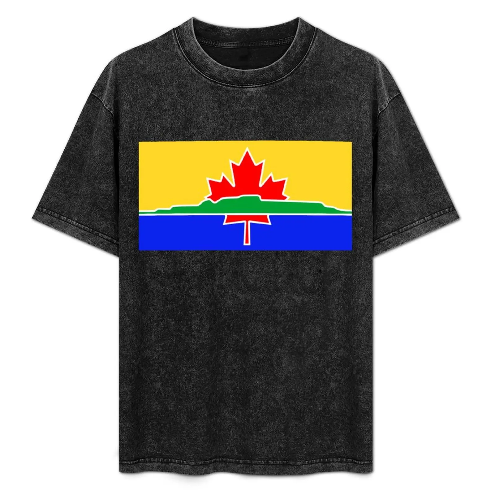 

Flag of Thunder Bay, Ontario (Canada) T-Shirt korean fashion Funny t-shirts customizeds shirts men