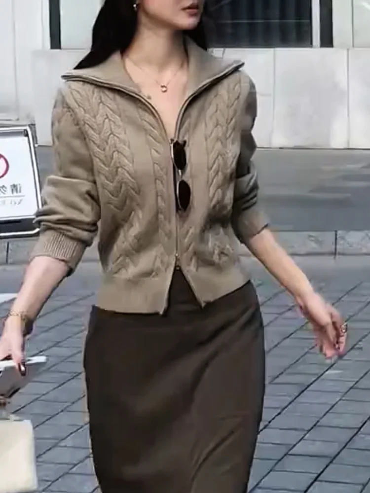 

Корейский вязаный свитер на молнии с застежкой-молнией, осенний новый плюс размер Ele, универсальный антивозрастной топ с высоким воротником, длинный свеч воole...