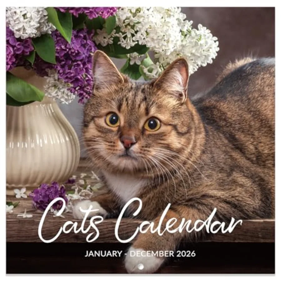 

2026 Calendar Wall Calendar 2026 Jan.2026 Dec.2026 12" x 24" Open 2026 Cat Wall Calendar 12Months Hanging Calendar with Unruled