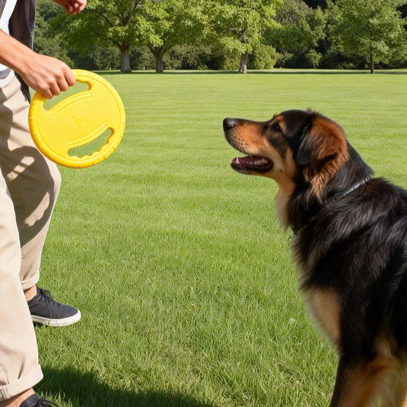 Frisbee pour chien en EVA avec - Frisbee Freestyle Disc avis et prix