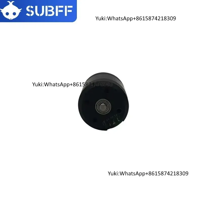 Hot Sale 500w 1000W Waterproof 24v 36v 48v Electric Brushed Dc Torque Motor 30nm for Underwater Thruster