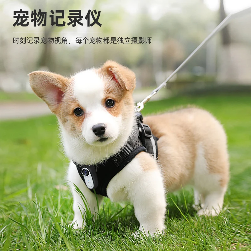 Pet Recorder Dogs and Cats Viewing Angle Sports Video Anti-Shake Animal Sports Camera Chest Collar Halter