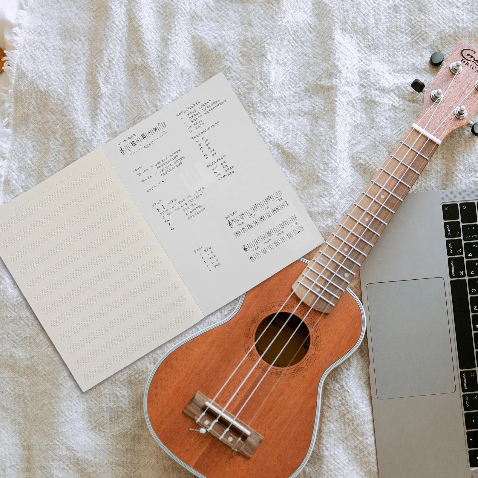 2 Cuadernos de Música, Papel para Manuscritos, Cuaderno A4 con Líneas para Partituras, para Práctica de Piano y Guitarra, Composición y Escritura de Canciones