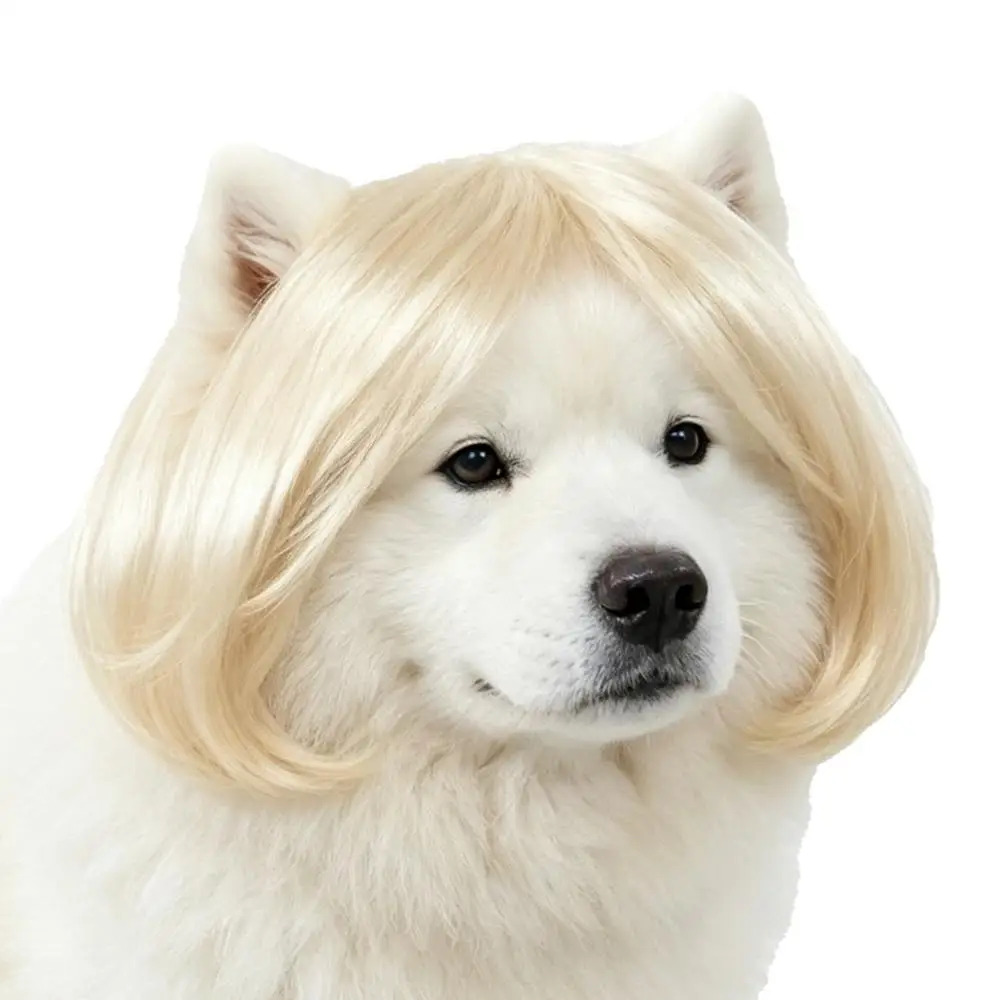 Hundeperücke-Kollektion Lustige Cosplay-Festivals Partys Dekorative Kleidung für Hunde und Katzen Halloween Haustier-Requisiten Zubehör – Detail 7