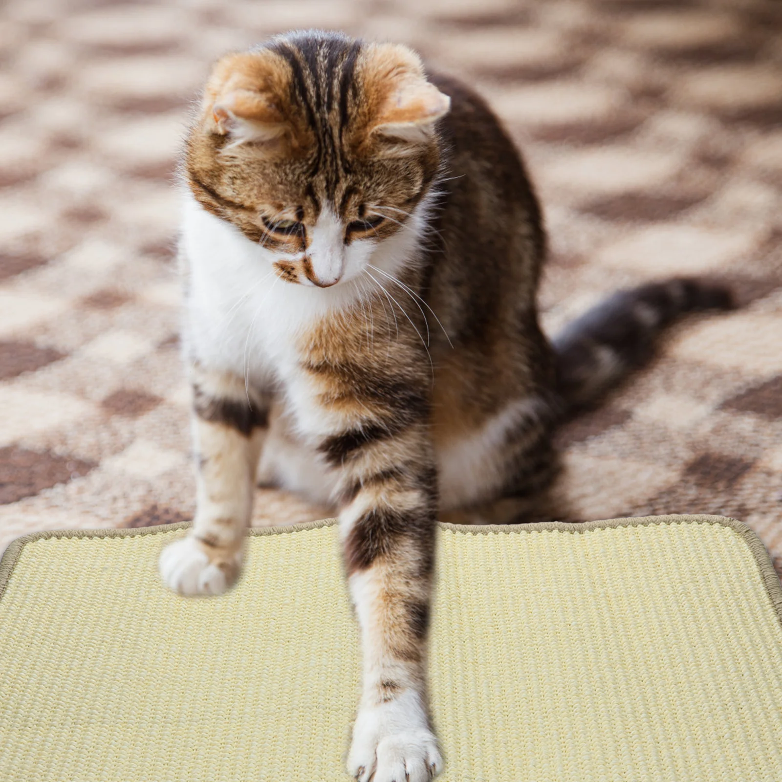 

Cat Scratcher Mat Wear Resistant Kitten Scratching Pad For Indoor Cat Claw Grinding Furniture Protective Board Pet Durable