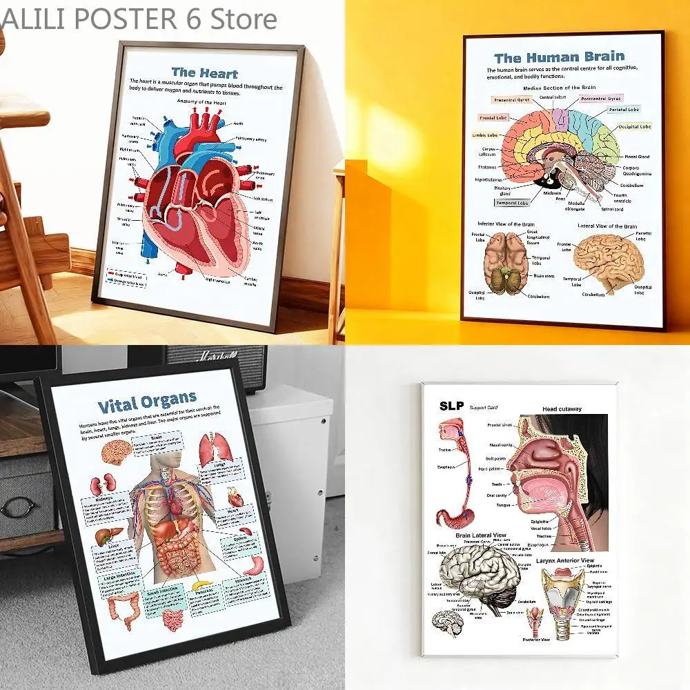 

Oral Cavity Ear system Anatomy Print Poster Prints Wall Art Painting Picture Gift Living Room Bar Restaurant Dec Sticker Large