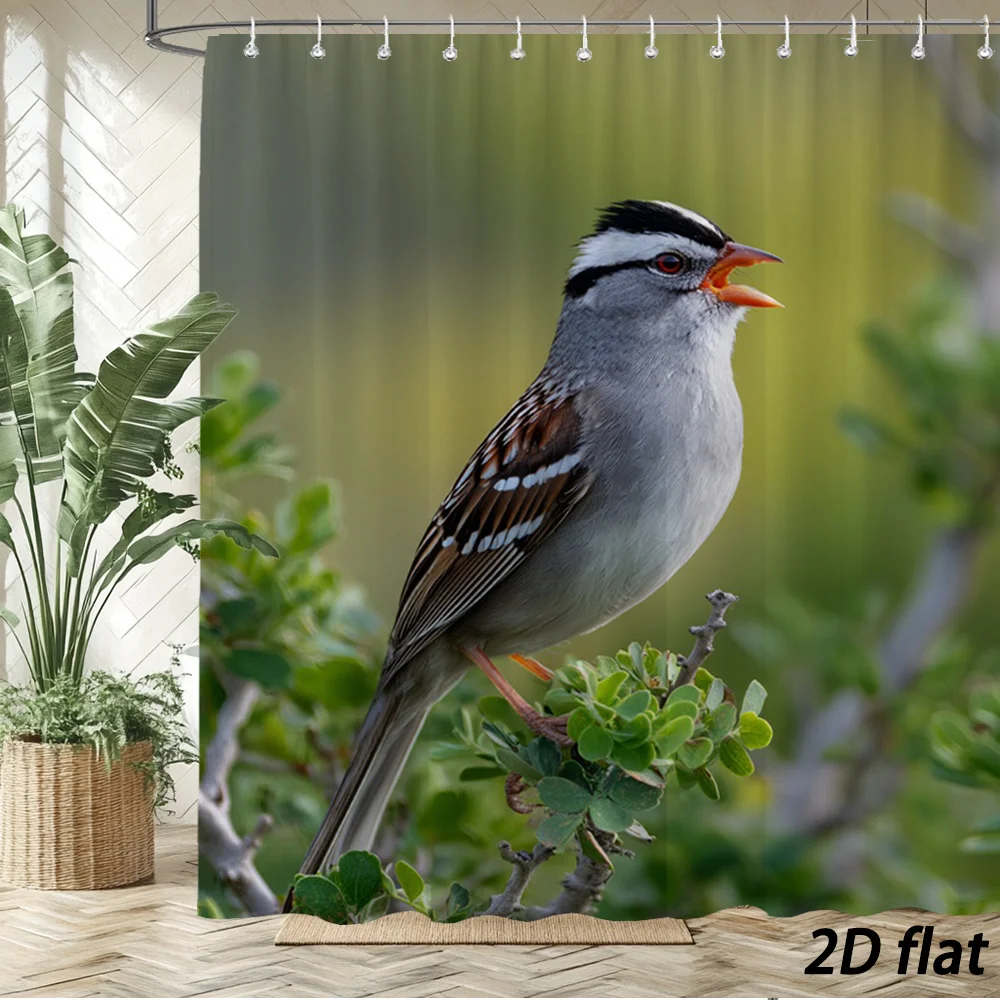 Vibrant Blue Jay Bird Photo Shower Curtain for Bathroom Decor - Nature Wildlife Scene
