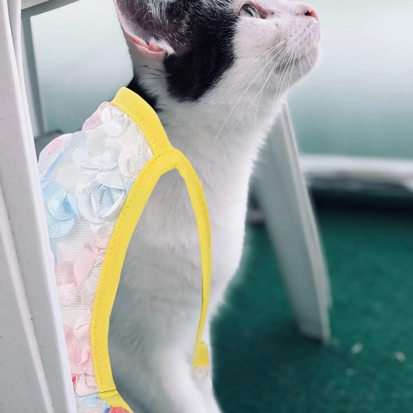 

Thin Vest Pet Clothing Dog Costumes Clothes Cooling Small Cat Puppy Shirts for Dogs