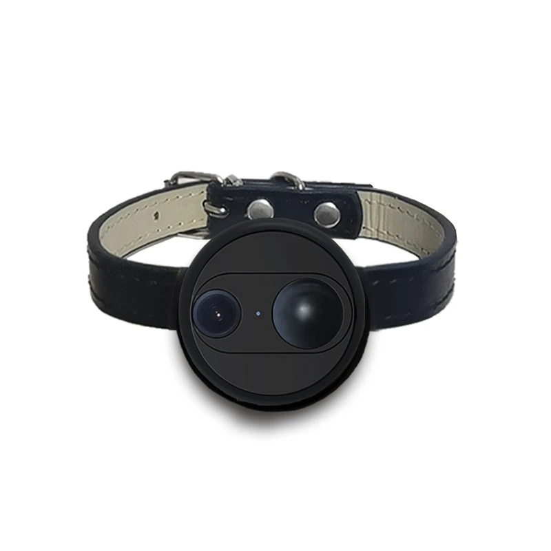 

Cats, dogs, pets, perspective cameras, neck recorders, monitoring live broadcasts, smart collars, straps, cats