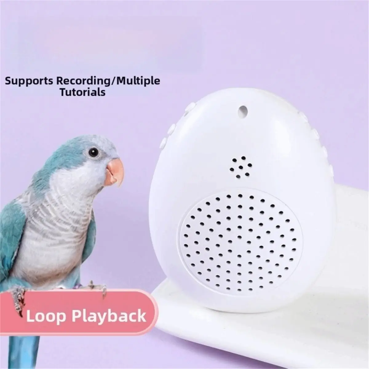 Recording Bird Learning Machine Interactive Parrot Talking Trainer, Timer-Controlled Multi-Segment Audio Playback Device