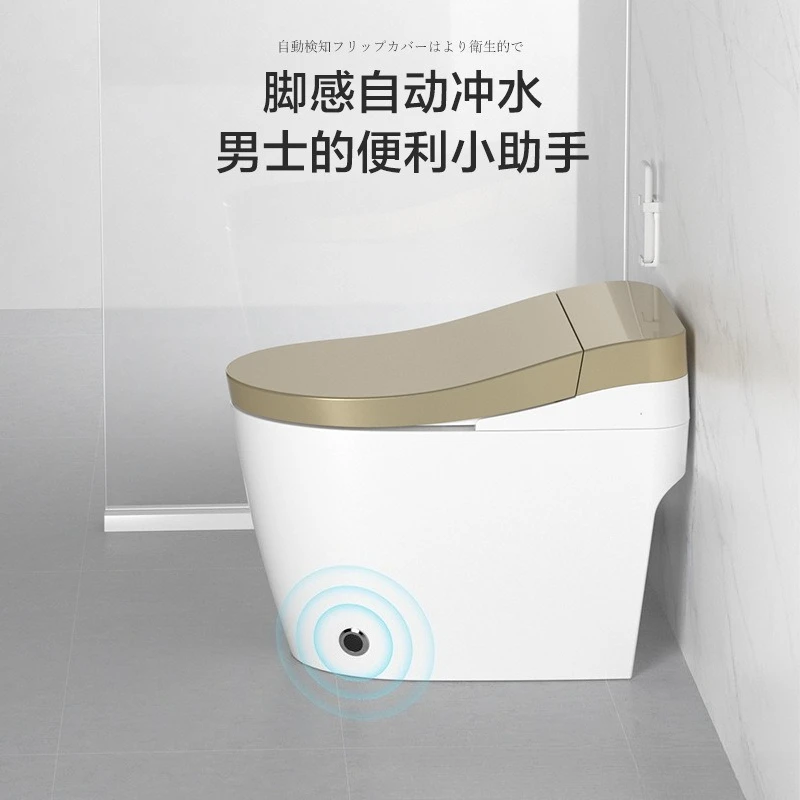 Smart toilet toilet fully automatic voice integrated