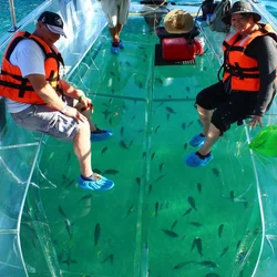 LIMELIGHT clear boat bottom boat tour in barca trasparente in vendita