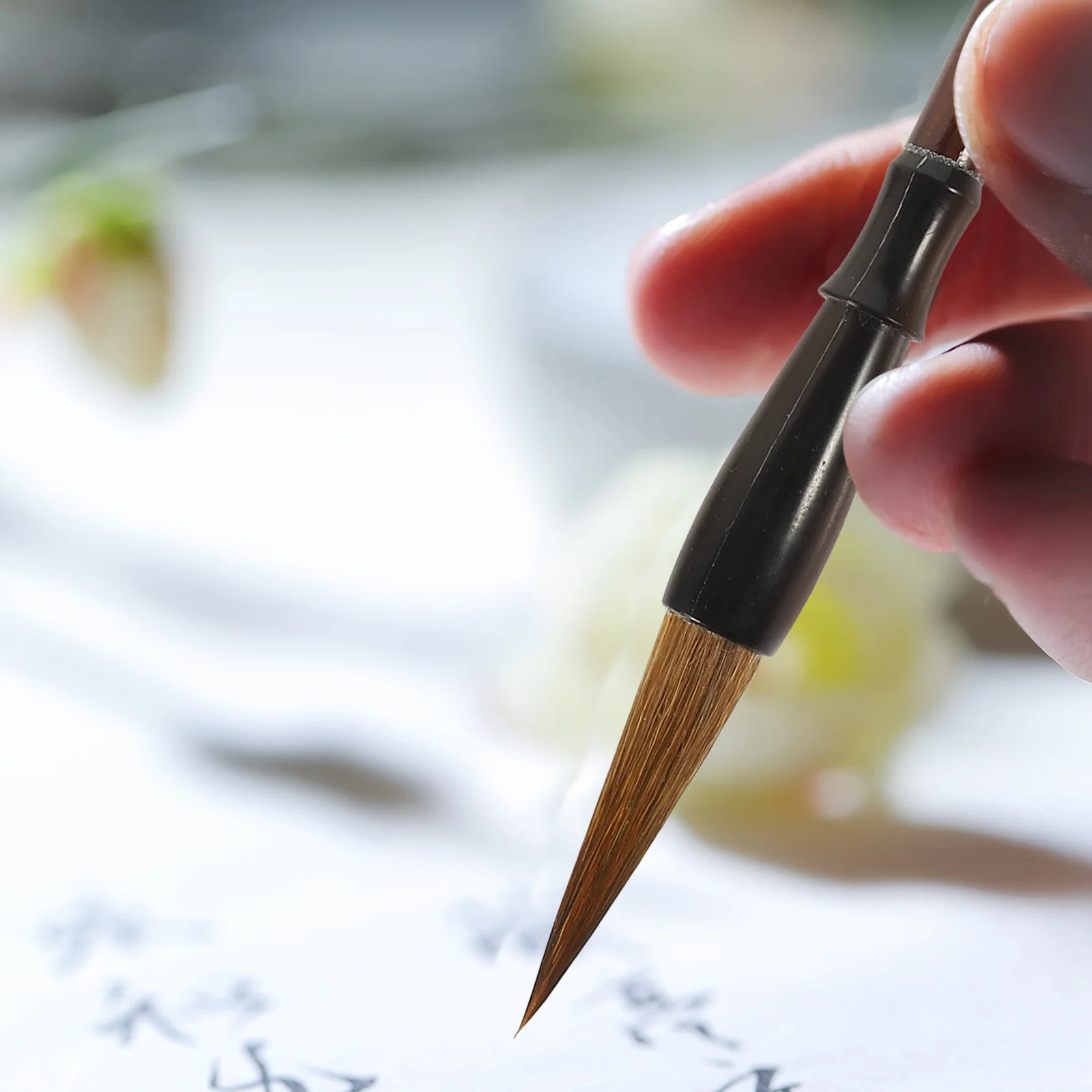 

6 Pcs Brush Set Calligraphy Pens Chinese Paint Brushes Traditional for Beginners Ink Writing