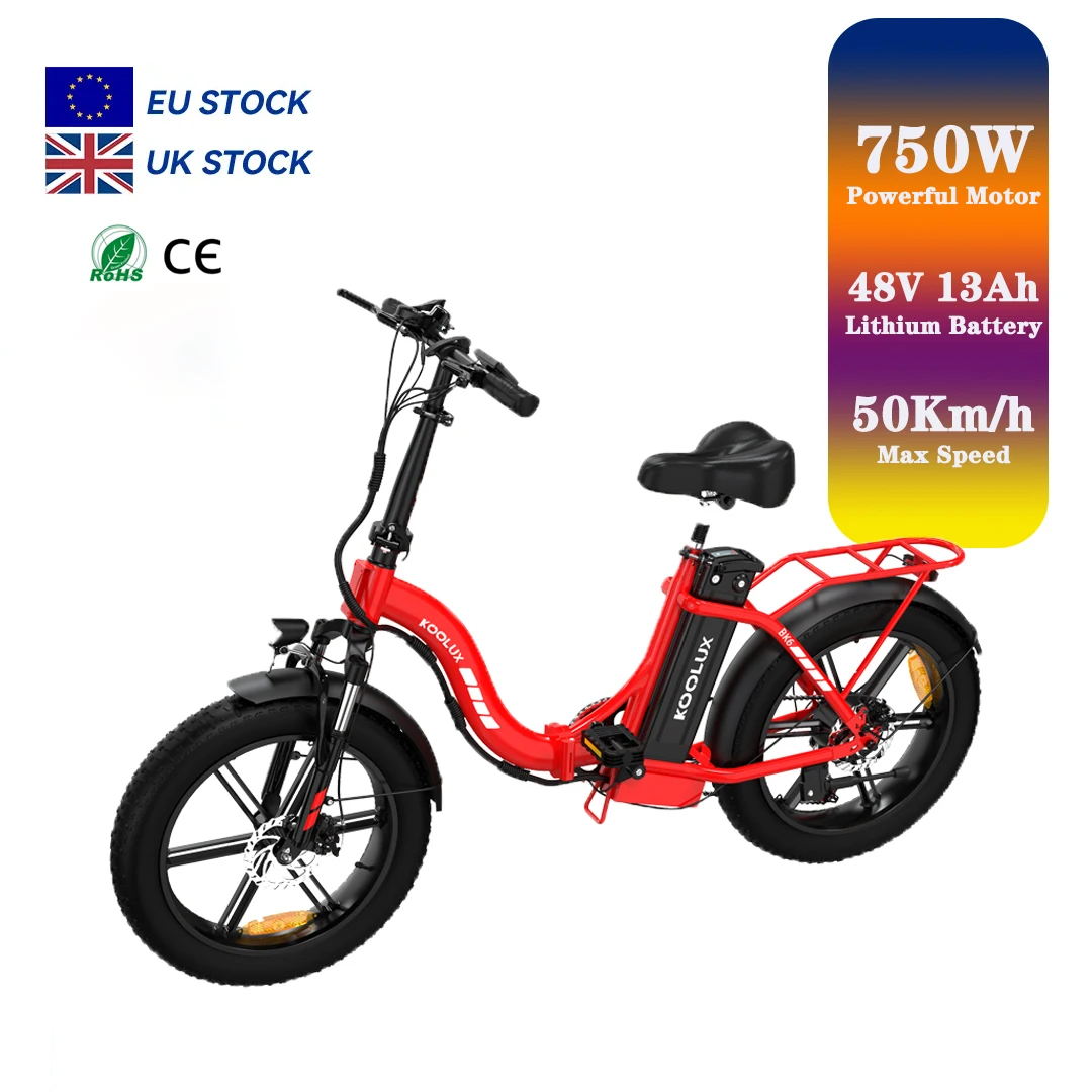 Hot Selling Long-Range 20*4 Inch Fat Tire 7 Speed 48V Foldable City Electric Bike with Lowest Wholesale Price - view 2