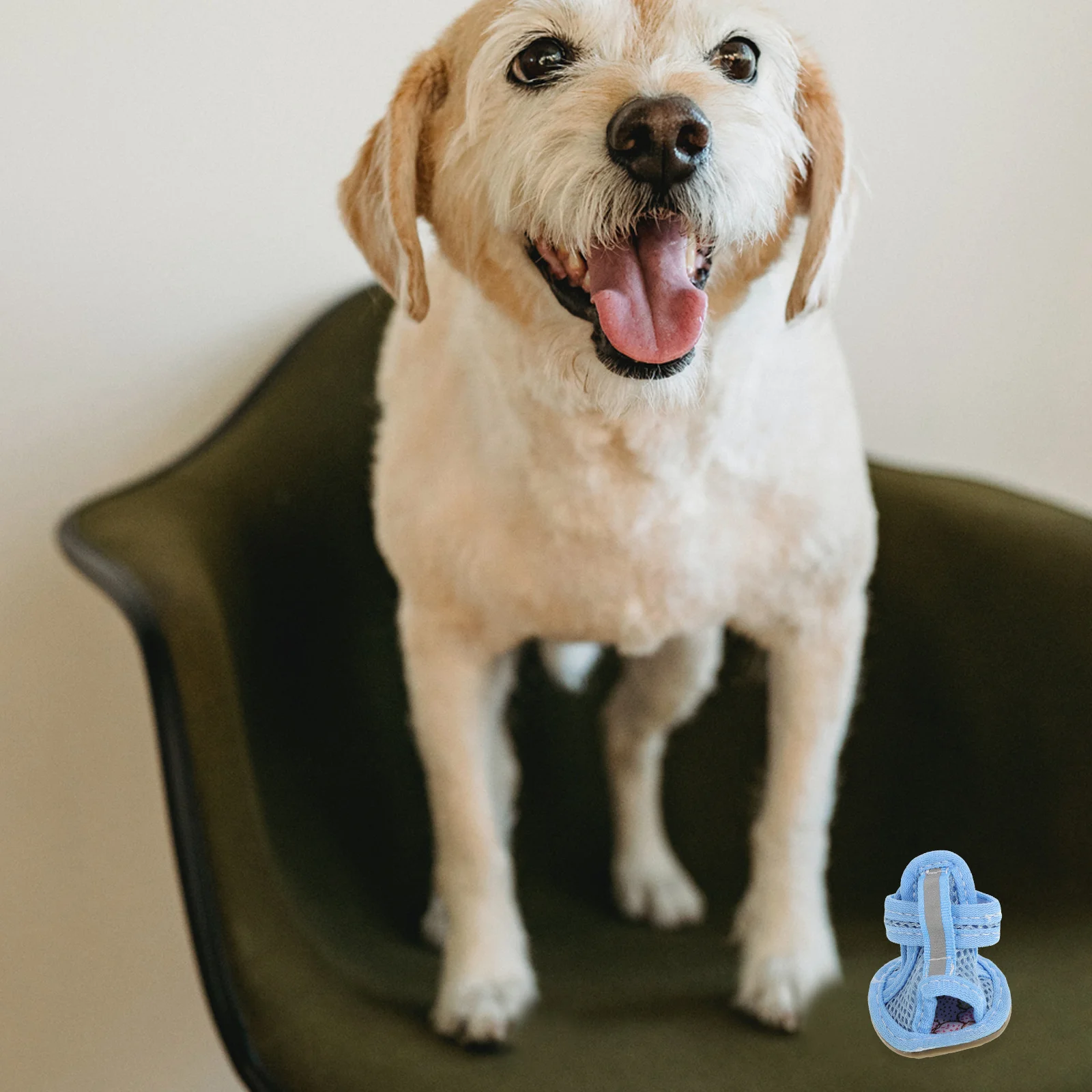 

4Pcs Breathable Mesh Dog Boots Summer Pet Shoes Anti-Slip Flexible Sole for Puppy Paw Protection Size 3 Dog Shoes