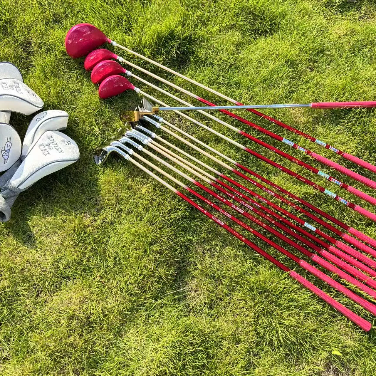 DULLY NA CAT Ladies Complete Golf Club Set 13PCS,Lady L Flex Carbon Shaft,Women Golf Clubs for Beginner Training Practice