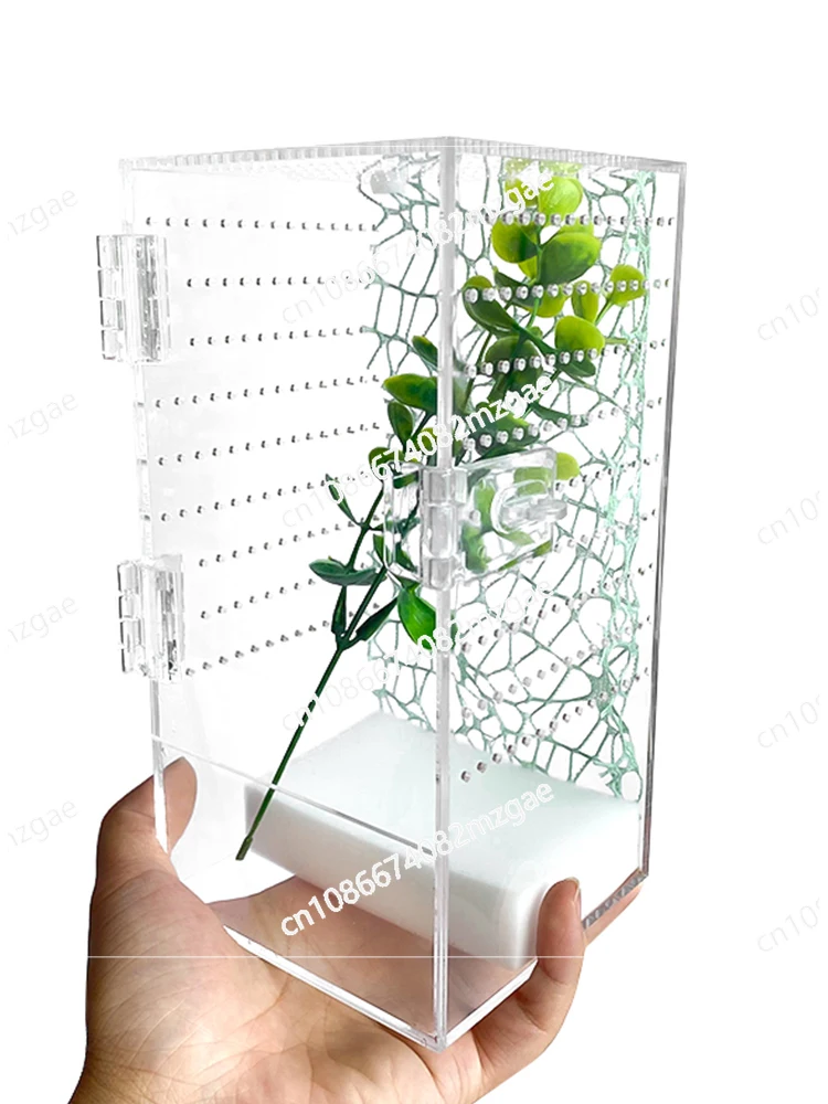 Desktop rainforest pet feeding box, tree-dwelling bird-hunting spider, orchid mantis, grandpa tree frog, tall large acrylic box.