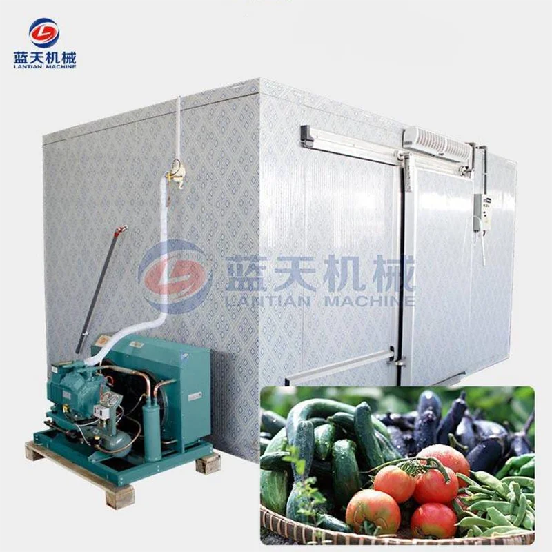 Commercial Fruit Vegetables Cold Room Storage Potato Cold Warehouse Walk In Freezer For Fish Lemon Refrigeration Room Supplier