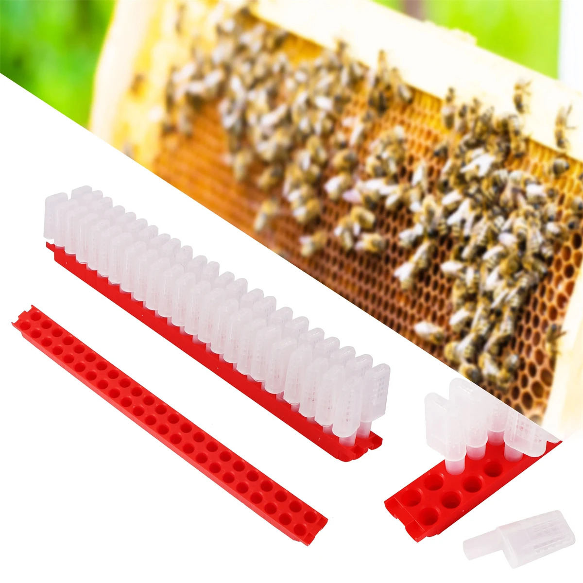 

Beekeeping Supplies Queen Cell Cage with Transport Box Bee Moving Isolator Protection Case Beekeeper Rearing Equipment