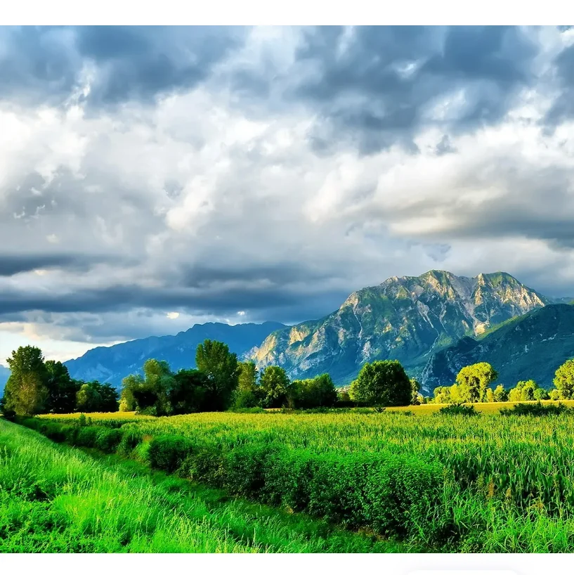 

Flywoo GOKU GN405 Nano HD 35A Stack V3 с TXCO ELRS 2.4G Plug & Play, совместимый с DJI O4 O4 Pro