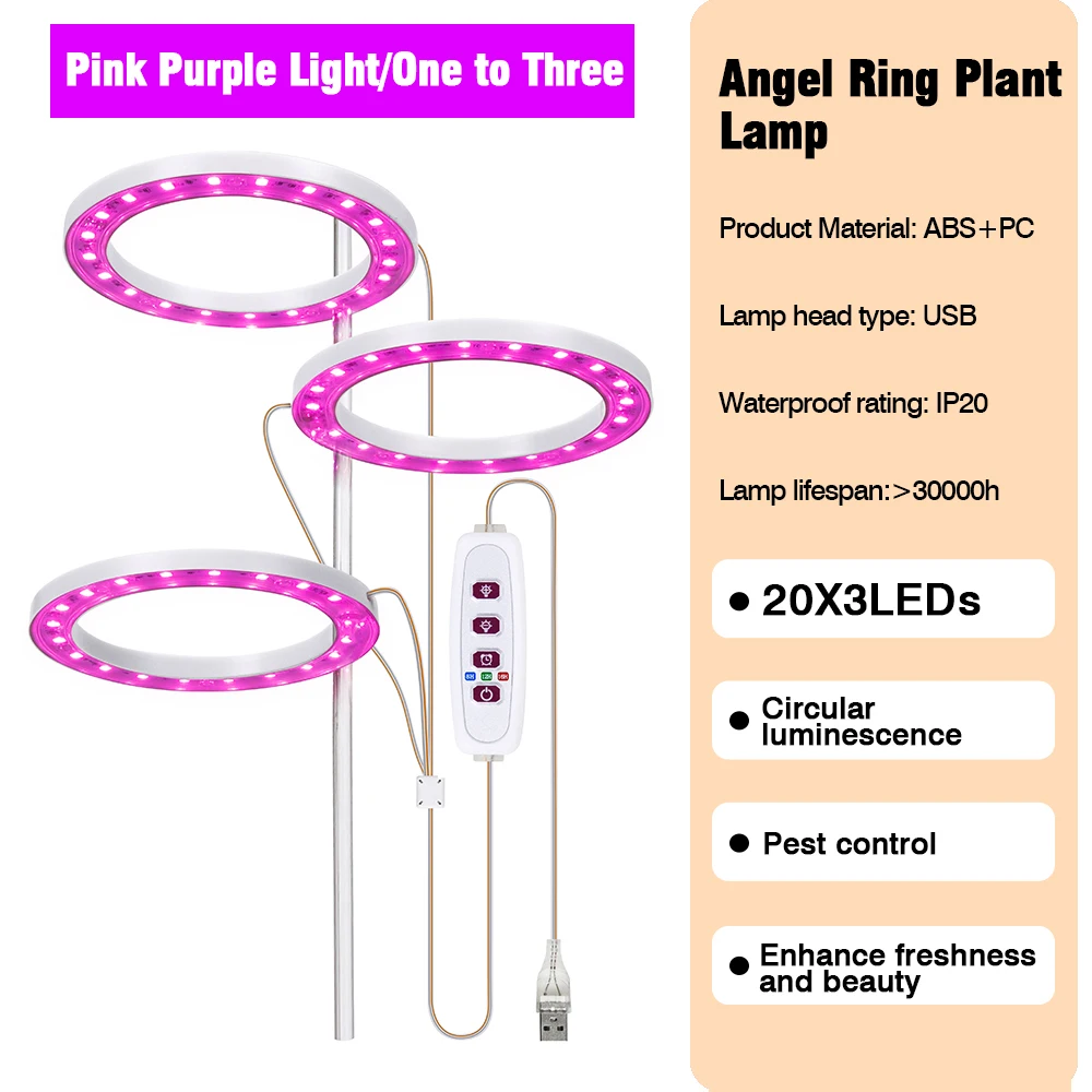 Pink Light 3 head