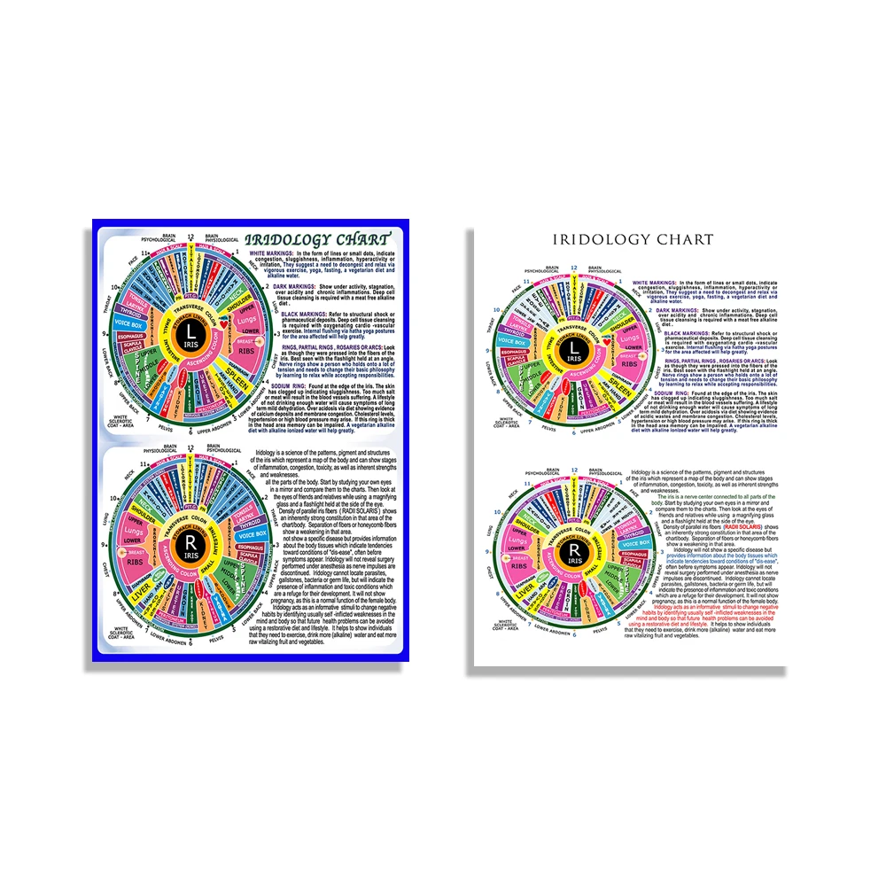 Iridology chart art ophthalmologist poster for health assessment by reading iris pattern in eye