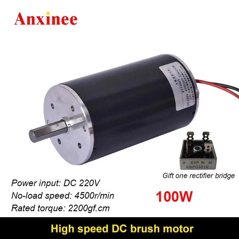 ZYT4045 DC220V 100W 4500RPM Carbon Brush Motor DIY Electric Tools High torque DC engine