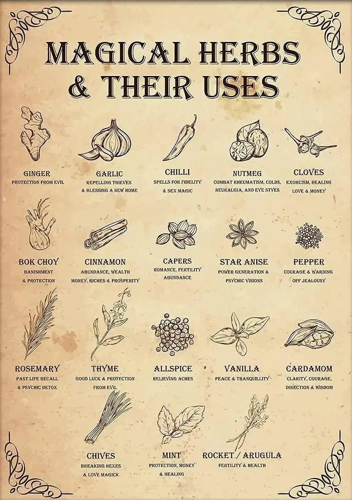Pioujw-Magical Herbs And Their Uses Witchy Poster Kitchen Witch Wall Art Vintage Witchery Witches Magic Knowledge Tin Signs sign