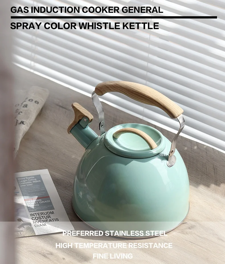 الفولاذ المقاوم للصدأ صافرة 3L غلاية السبر غلاية مع مقبض اللمس البارد المنزلية غلاية الماء الساخن مناسبة لحليب الشاي والقهوة