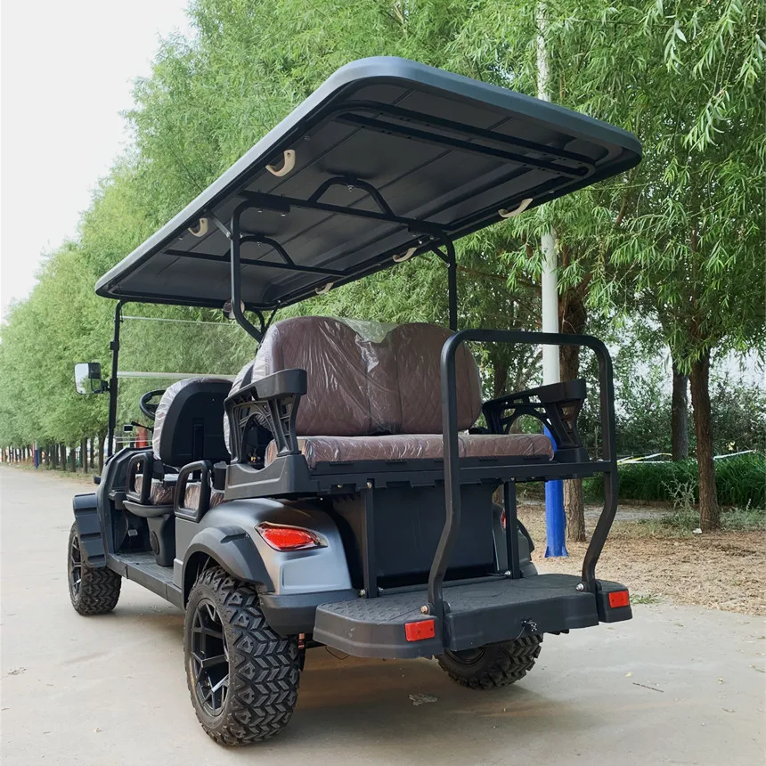 New Model Launched 12-Inch All-Terrain Tires With Large Touch Screen Scenic Sightseeing Car Gas-Powered Sightseeing Golf Cart