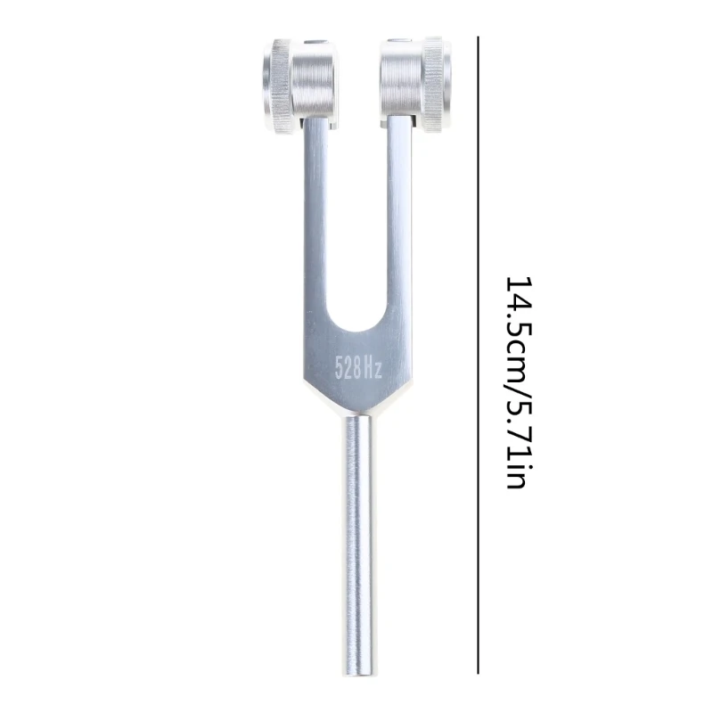 Hz Tuning Fork for