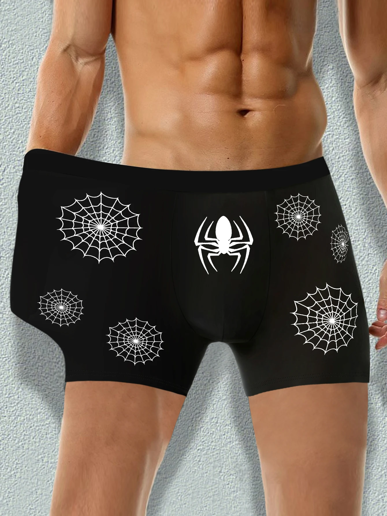 Men\'s Breathable Underpants Underwear with Spider/Spider Web Print Soft Comfortable Briefs Underwear