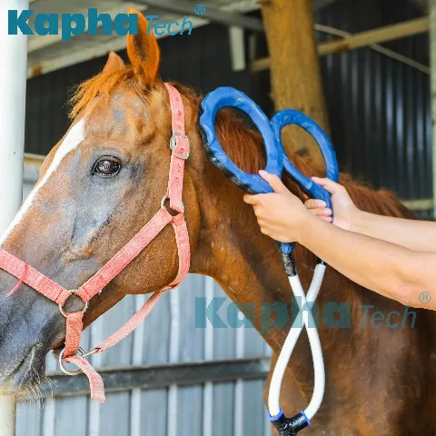 إعادة التأهيل لعلاج الحصان العلاج الطبيعي المغناطيسي للحصان