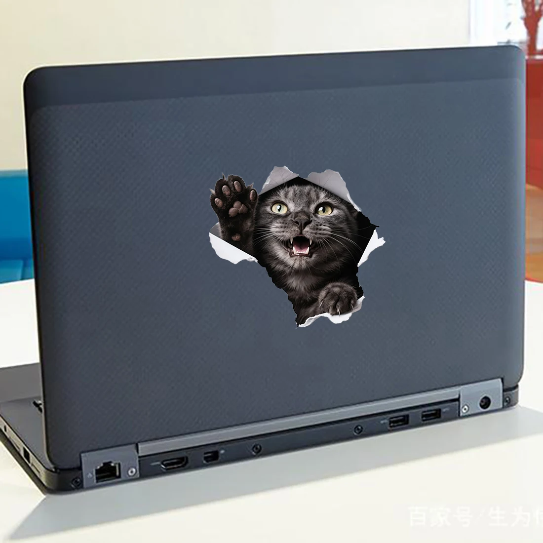 Three Ratels CD225 Funny British Shorthair Cat Stickers for Home Decoration Wall Stickers Computer decals Car Stickers, Wate