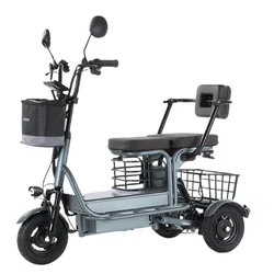 Volwassen elektrische driewieler 2 personen Krachtige 800W 48V 10 inch 3-wiel elektrische scooter voor senioren met verwijderbare lithiumbatterij