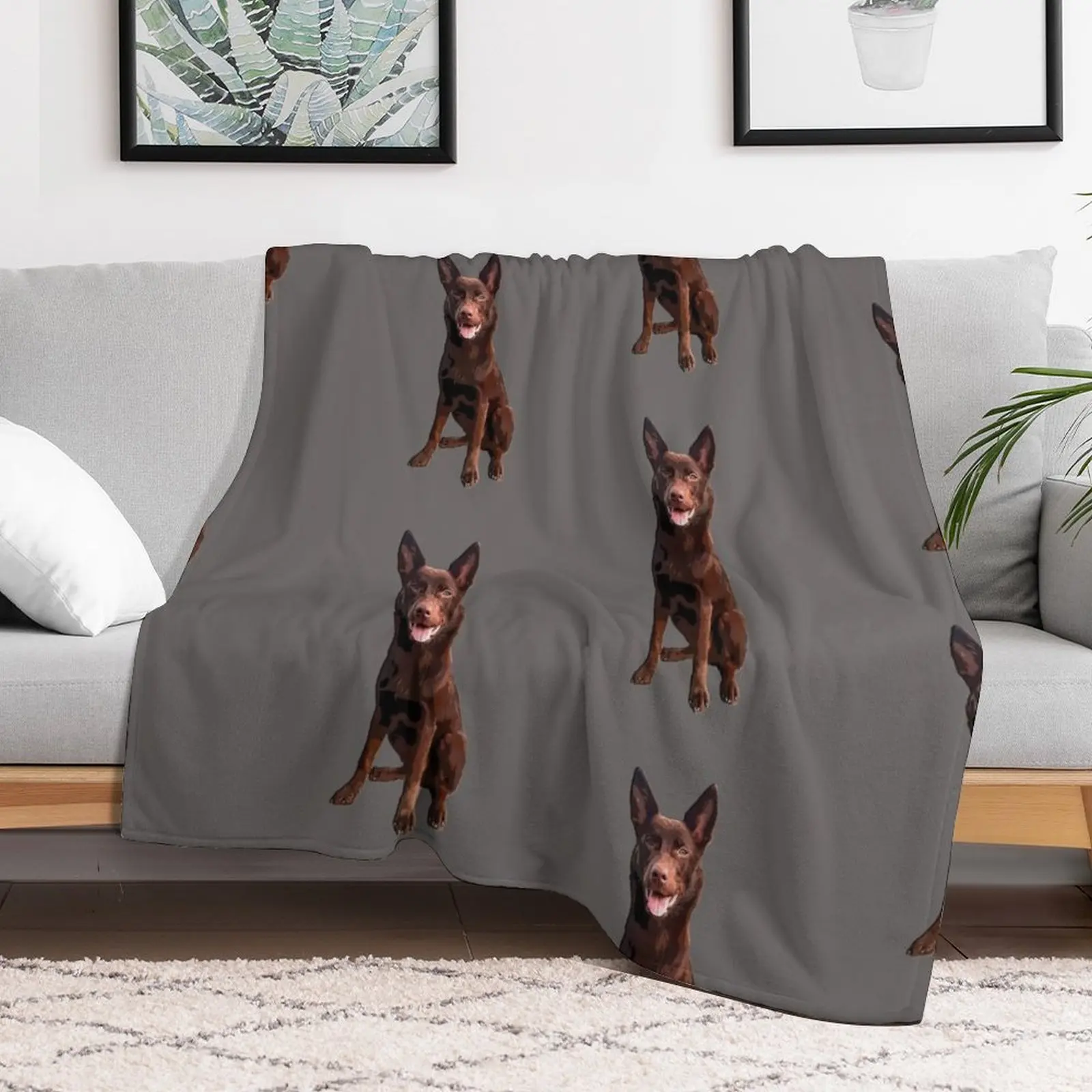 Kelpie - Australian Kelpie Throw Blanket Cozy Warm Blanket for Bed Room Decor