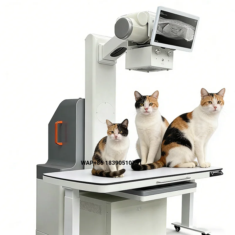 Veterinary X-ray machine with rotating arm for animal standing imaging, CE certified, 110V/220V power supply