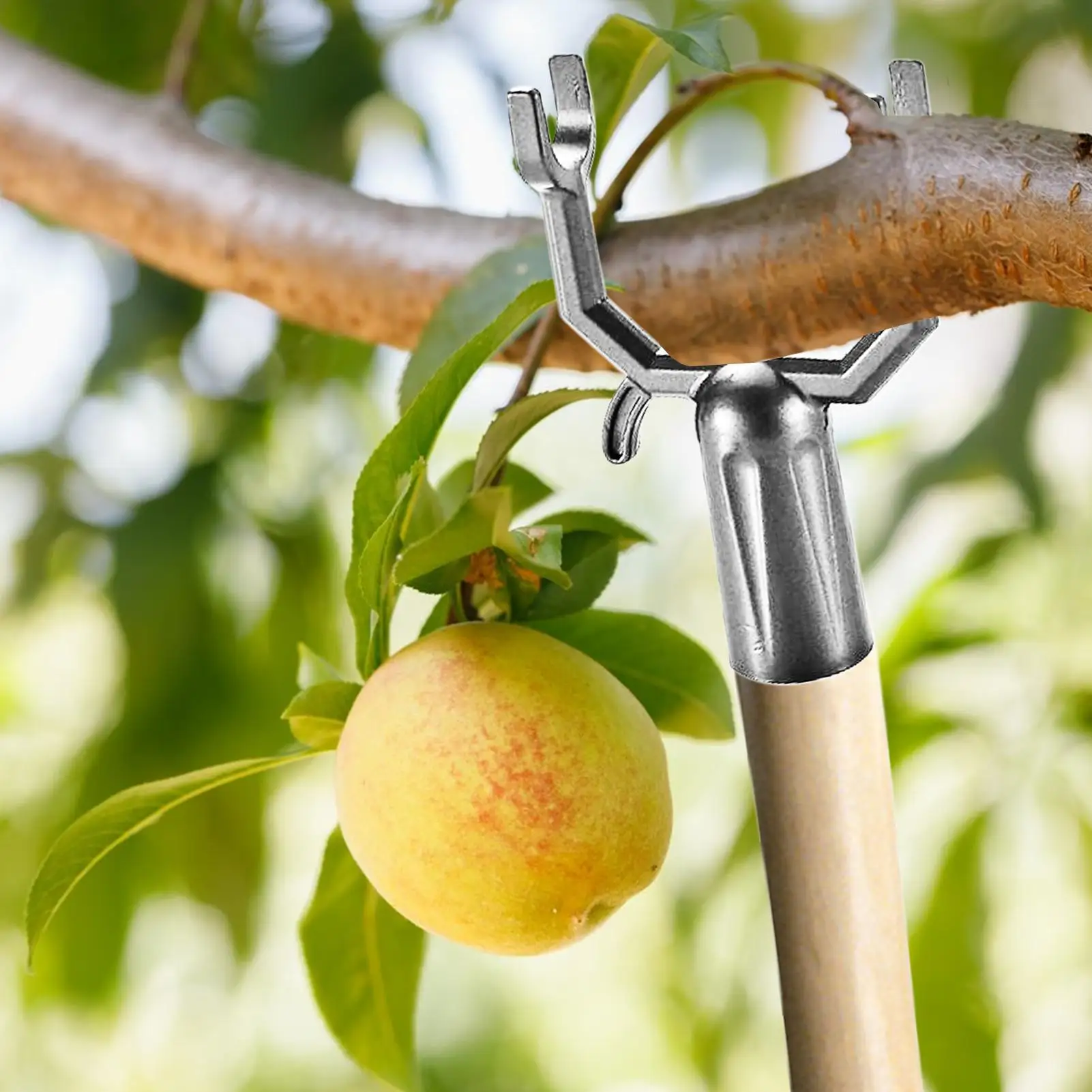 

5pcs/set Adjustable Tree Limb Support Propping Up Branch Spreaders Leaning Straightening Rust-Proof Limb Plant Fork Pole Head