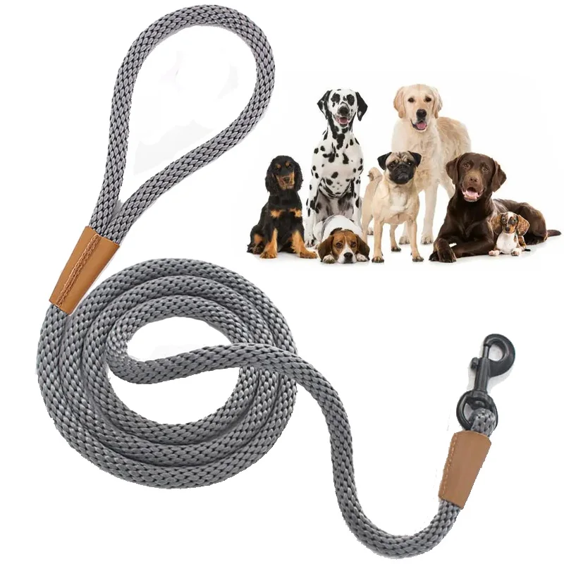 Dog Leash Labrador French bulldog Harness Leashes Strong Nylon Leash Training Safety Dog Leashes Ropes 4Foot/6Foot