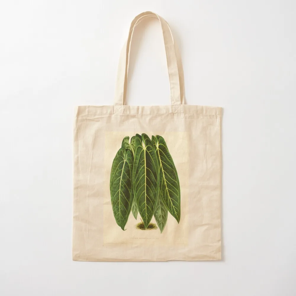 

Anthurium warocqueanum - L'illustration horticole - Botanical Illustration Tote Bag Eco bag Canvas Tote Bag