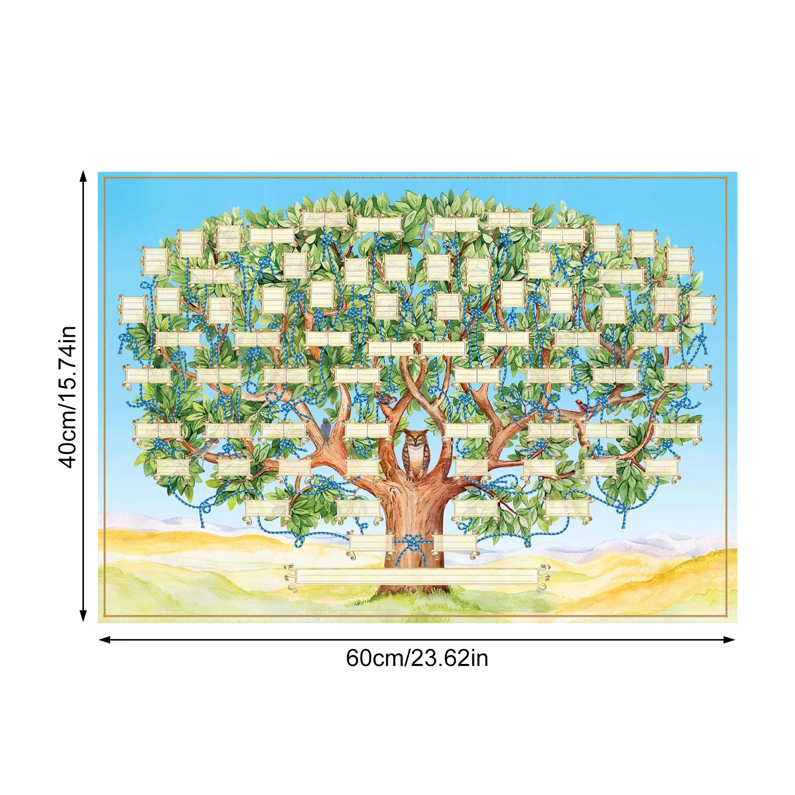 40x60cm Family Tree Chart Fill in Family Tree Diagram Fillable Ancestry Chart Genealogy Gifts for Children to Know Their Family
