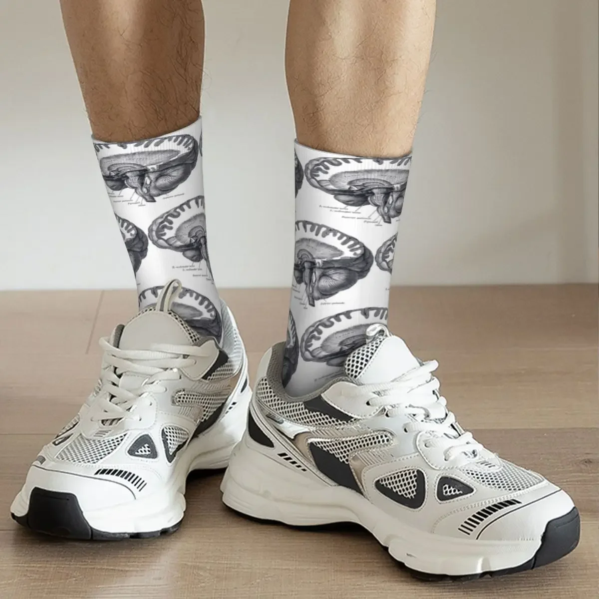 Gehirn Anatomie Socken Harajuku super weiche Strümpfe ganzjährig lange Socken Zubehör für Unisex Geburtstags geschenk