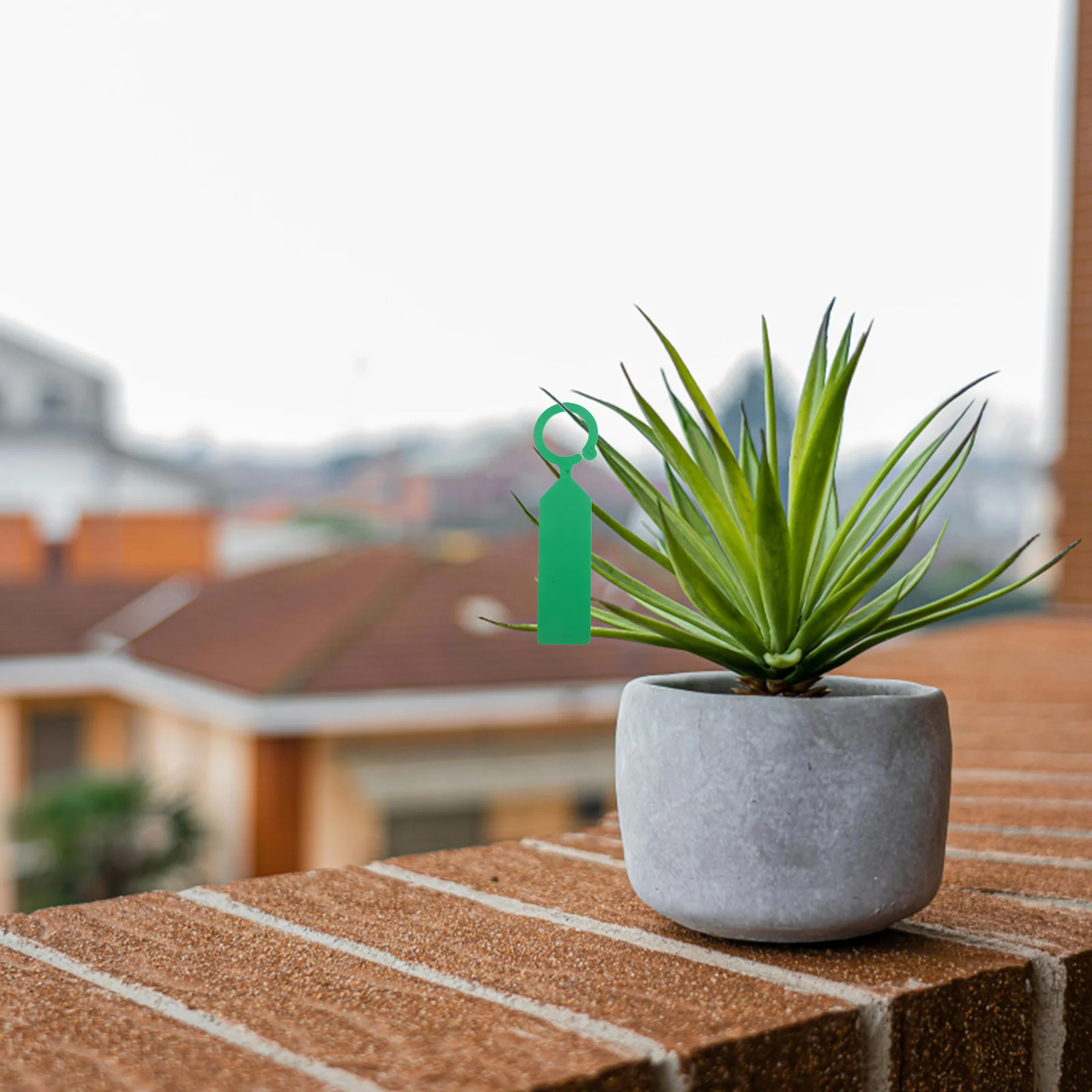 

200Pcs Durable Plastic Garden Plant Tags Waterproof Hanging Labels for Vegetables Flowers Greenhouse Use Plastic Flower Name Tag