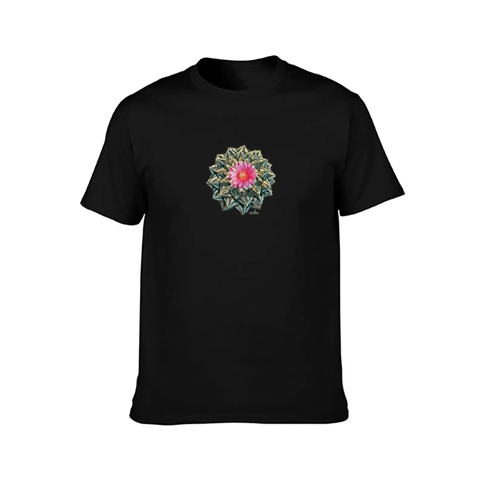 Ariocarpus Fissuratus - Living Rock Cactus T-Shirt Sweat Resistant Workout Tee Shirt T-Shirt