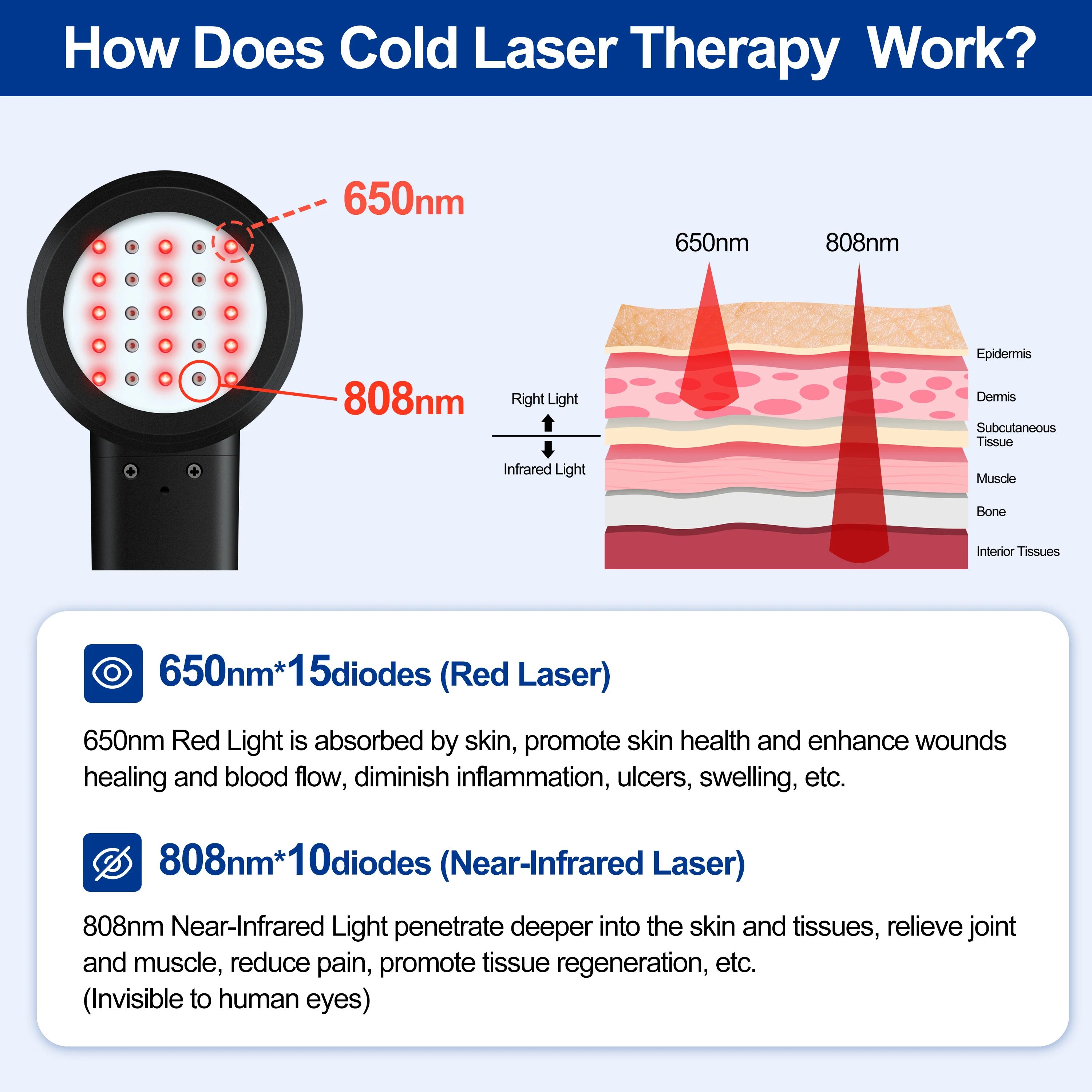 2026 High Power Cold  Therapy Machine for Equine Arthritis Pain Nerve Pain Relief and Physiotherapy Rehabilitation