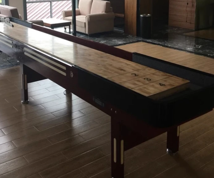 Table de Shuffleboard Standard pour Tournoi Dédié
