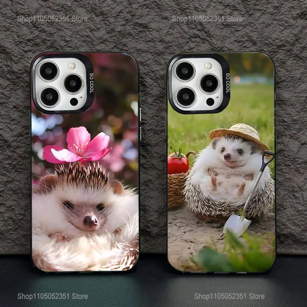 

Cute Animal Hedgehog Phone Case For iPhone 16,15,14,13,12,11,Pro,XS,Max,Plus,Mini,SE Black Candy Matte Shockproof Cover