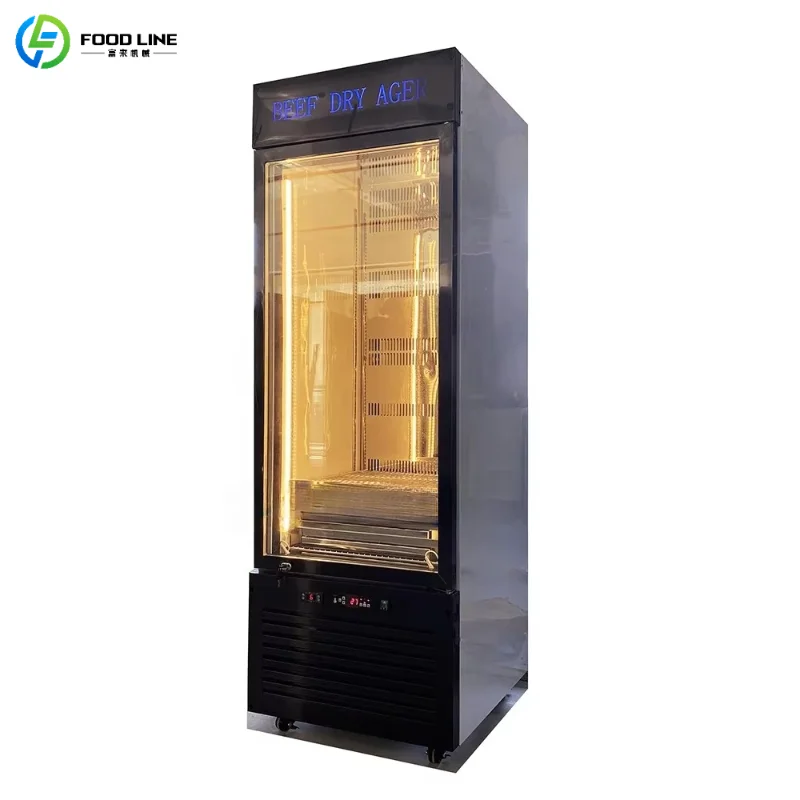 Customized Commercial Dry Ager Refrigerator for Meat Processing Dry Aging Cabinet Large Capacity Stainless Steel Curing Fridge